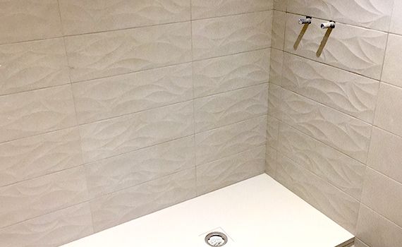 Plato Ducha Plato Ducha